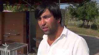 Nabrandakı hadisə yerindən görüntü