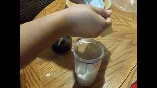 Pay de Leche 1