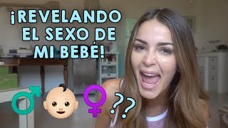 Semana 14 - el sexo del bebé: britany o Kevin?