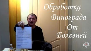 Схема обработки винограда от болезней. Виноград 2019