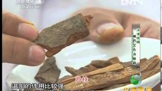 中华医药 洪涛信箱：隔药艾灸治肠澼