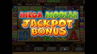 Mega moolah jackpot win