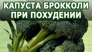 Капуста брокколи полезные свойства для похудения