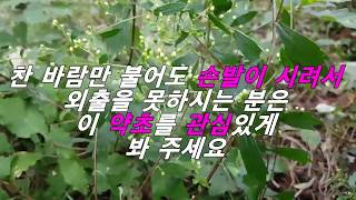 찬바람만 불어도 손발이 시려서 외출을 못하는 사람.