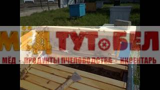Вереск.Пчеловодство 2017.Беларусь.Витебская обл.,Глубокский р-н