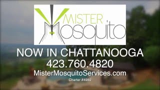 Mister Mosquito - Now in Chattanooga