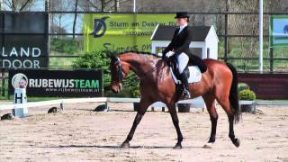 Freestyle Small Tour @ CDI Nieuw en Sint Joosland
