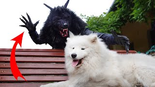 How to make Scary WEREWOLF Halloween Costume