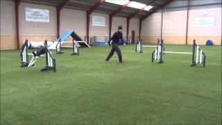 Do It and Jiggy - Jaakko turn, German turn and double lapturn