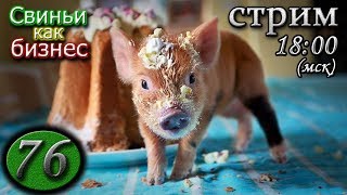 7.02.20 ⚫️ Пятничный консилиум свиноводов