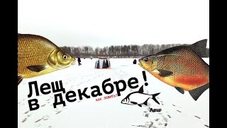 Как и где ловить леща в декабре?