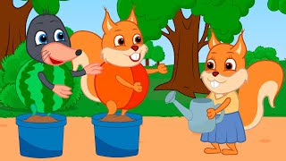 Famille d'Écureuil - Arrosage Des Fruits Vivants Animé 2022 en Français