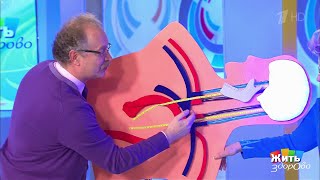 Жить здорово! Болезнь Альцгеймера своими руками. (14.03.2018)
