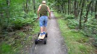 Electric skateboard
