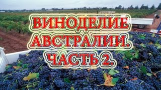 Виноделие. Австралийское виноделие. Часть 2.