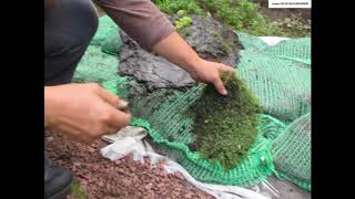 ВСЁ  ГЕНИАЛЬНОЕ - ПРОСТО!!!  ЦВЕТОЧНАЯ  ГОРКА своими руками.