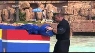WSM Final 2010 events 1 and 2