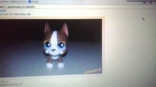 Kde koupit lps dogy