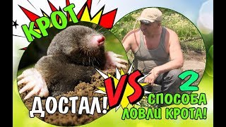 Если Делать Так Можно БЫСТРО ПОЙМАТЬ КРОТА  В ОГОРОДЕ / 2 САМЫХ ЭФФЕКТИВНЫХ СПОСОБА!