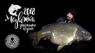 Медвежка - Закрытие сезона ловли карпа 2018 / Рекордный карп водоема 26,090kg