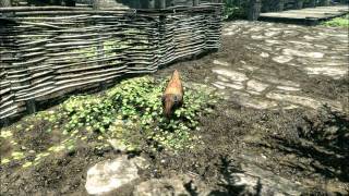 Skyrim Creation Kit: Torture Nude Children