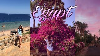 Мой отдых в Египте 2017 в отеле Domina Coral bay