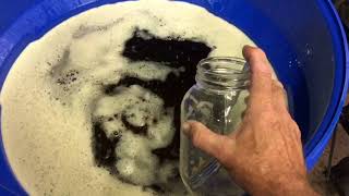 Butter Rum Part 2 The Yeast
