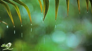 Relaxing Music & Rain Sounds - Beautiful Piano Music, Background Music, Sleep Music