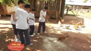 Rota das Salamarias - Marau/RS