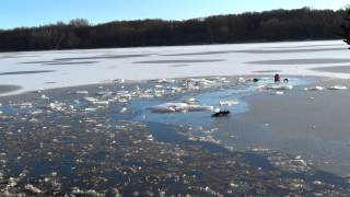 Winter swimming Poland