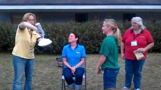 Pie in the face