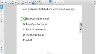 PE Explaining Trees Intro Q07