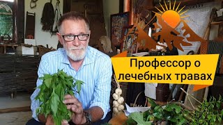 Знахарь!Александр Ручкин/доктор медицинских наук, профессор о лечении травами!