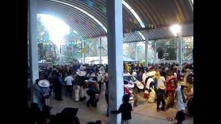 CARNAVAL SILACAYOAPAN 2016 DOMINGO