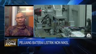 Ahli Soal Baterai Listrik Non Nikel Yang Digaungkan Elon Musk