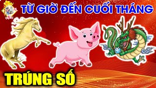 Từ Giờ Đến Hết Tháng Giêng, 3 Con Giáp Này Gặp Dữ Hóa Lành, Sung Túc Đủ Đầy, Tài Vận Thênh Thang