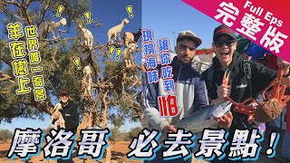【摩洛哥】海鮮天堂-索維拉/摩洛哥騎小毛驢/殺價密技/木雕藝品街/港口海鮮現烤龍蝦吃到爆 《世界第一等》946集完整版