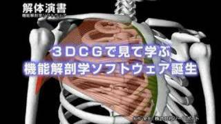 『解体演書』3DCG解剖ソフト