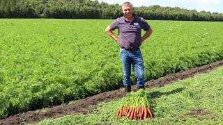 Фермер взял убыточный колхоз, и теперь он №1! / Лукашенко его хвалит, он кормит всю Россию овощами!