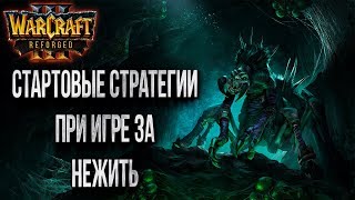 ОСНОВЫ ИГРЫ ЗА НЕЖИТЬ: Бета Тест Warcraft 3 Reforged
