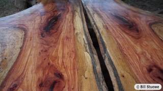 Austin Sawmill Live Edge Natural Wood Slabs