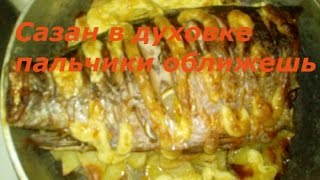 Как приготовить сазана в духовке, пальчики оближешь, как вкусно и просто?