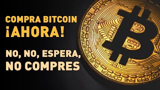 ¿Es el bitcoin una estafa? Para saberlo debes conocer la primera burbuja especulativa de la historia