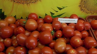ТОМАТ "УЛЬТРАСКОРОСПЕЛЫЙ". №10. ДЕГУСТАЦИЯ. 