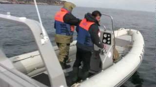 Лодки РИБ, Катер РИБ (RIB) series RX