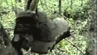 Специальное расследование   Черные копатели youtube original