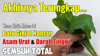 SETELAH NONTON VIDEO INI, ANDA AKAN MENCARI TANAMAN INI