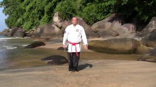 Saijutsu - Tsukenshitahaku by Sōke Leif Hermansson