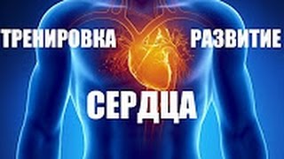 ТРЕНИРОВКА СЕРДЦА и развитие выносливости.