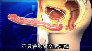 無法展雄風 竟是因為.. | 台灣蘋果日報